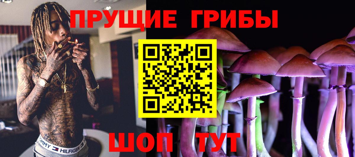 Керчь  Галлюциногенные грибы мицелий  Вход с VPN 